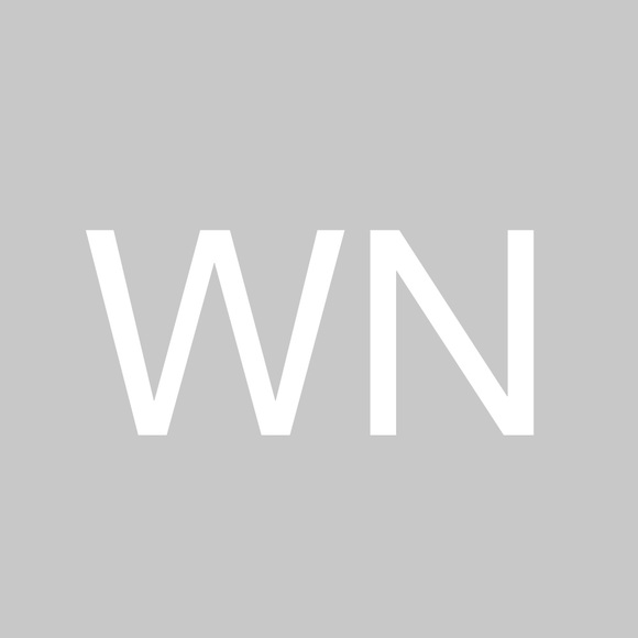 wandenessa8009